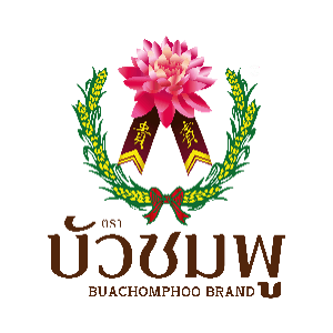 Creative Digital Marketing Specialist